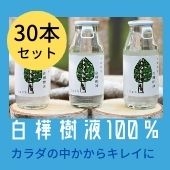 白樺樹液100％ドリンク